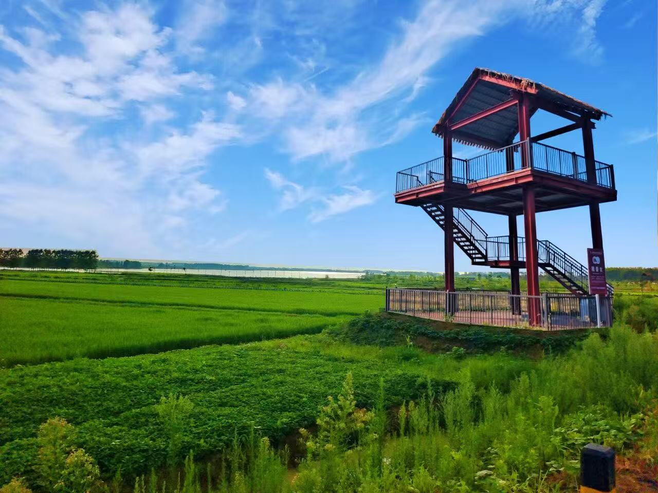 双河乡村风貌